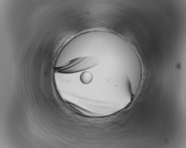 X0000111160001200907211238