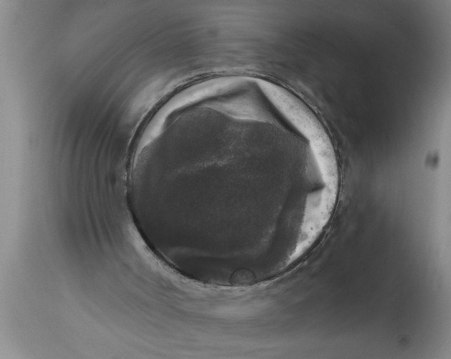 X0000111160002200907211238