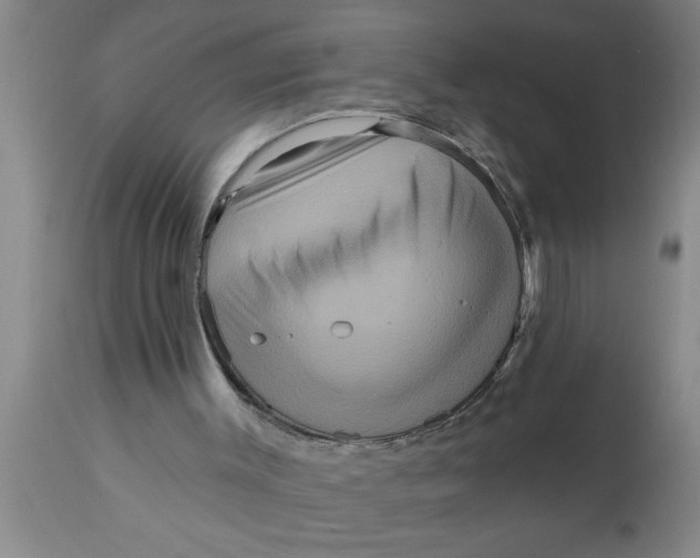 X0000111160003200907211238