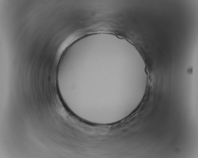 X0000111160004200907211238