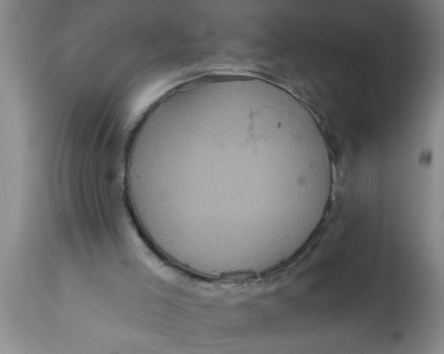 X0000111160005200907211238