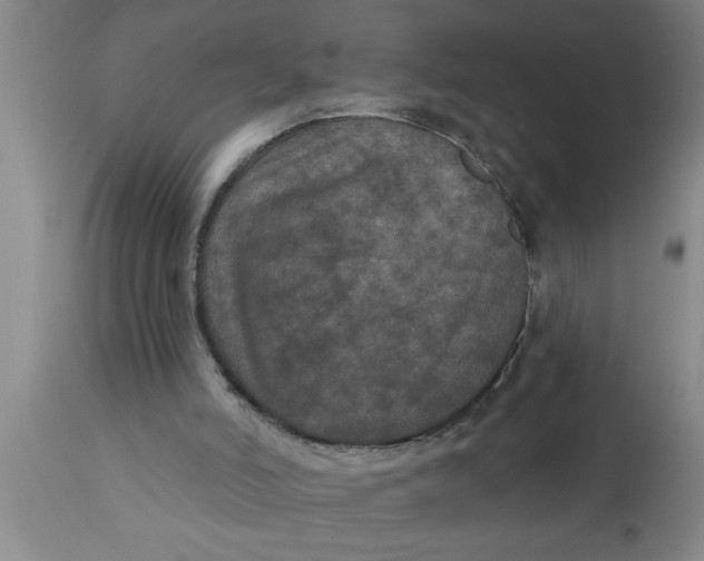 X0000111160006200907211238