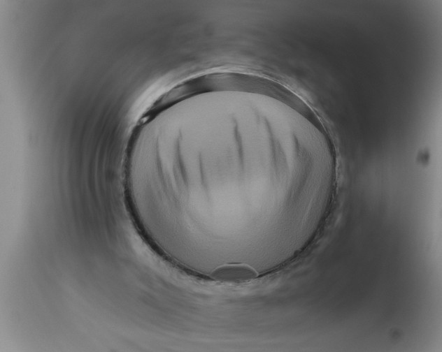 X0000111160007200907211238