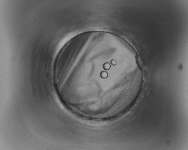 X0000111160008200907211238