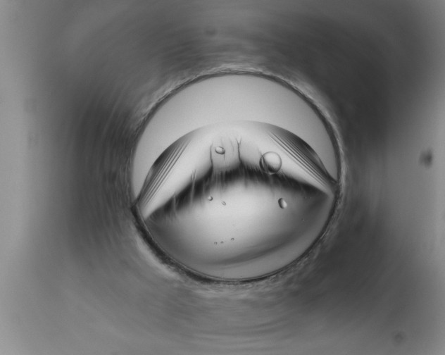 X0000111160009200907211238