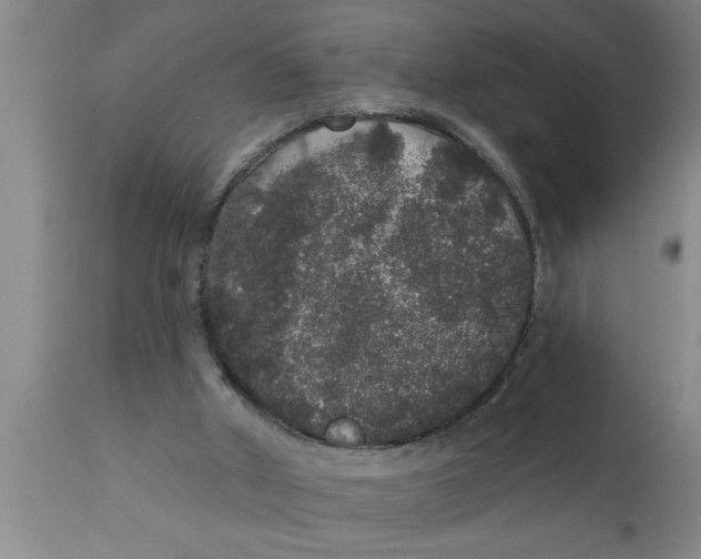 X0000111160010200907211238