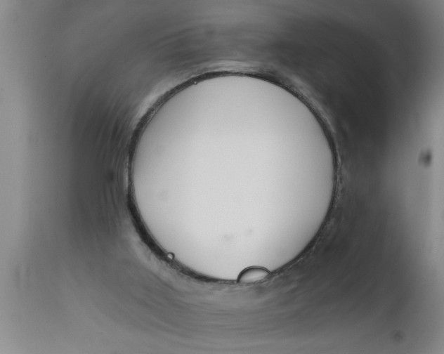 X0000111160011200907211238