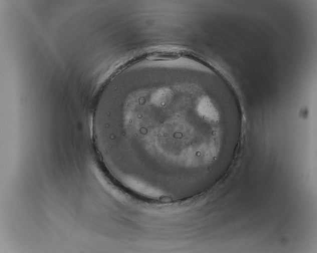 X0000111160013200907211238