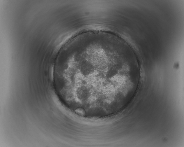 X0000111160014200907211238