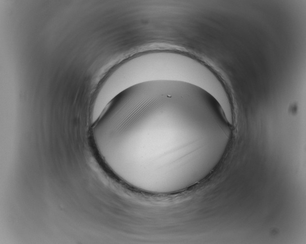 X0000111160015200907211238