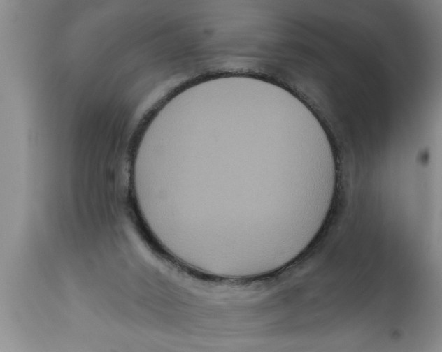 X0000111160016200907211238