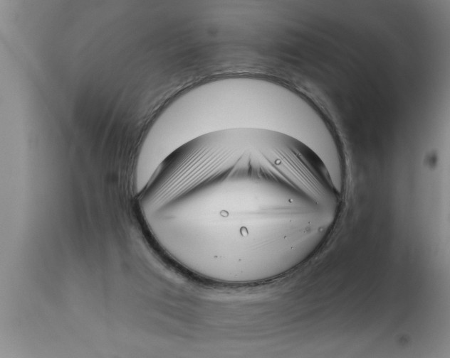 X0000111160017200907211238