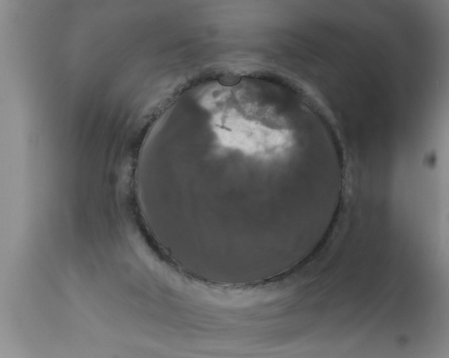 X0000111160018200907211238