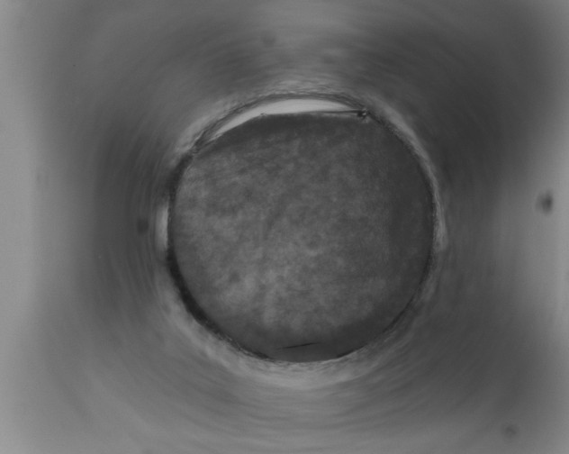 X0000111160019200907211238