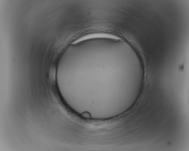 X0000111160021200907211238