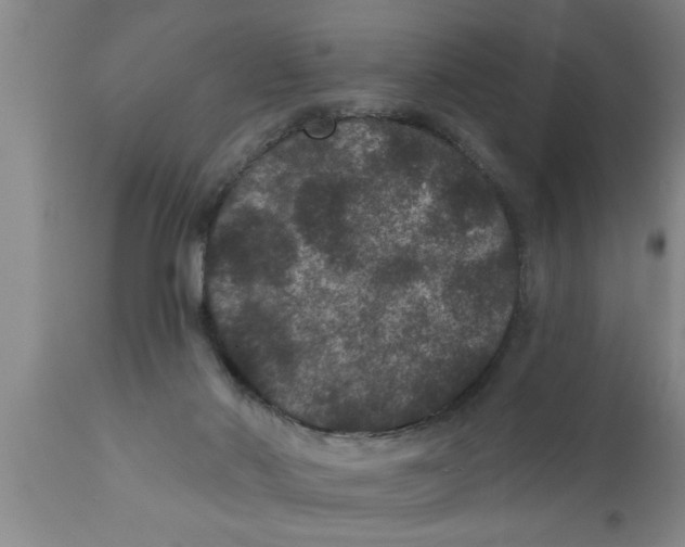 X0000111160022200907211238