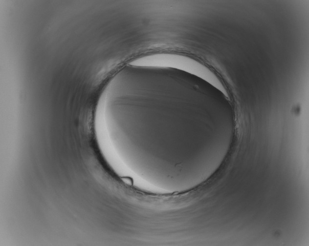 X0000111160023200907211238