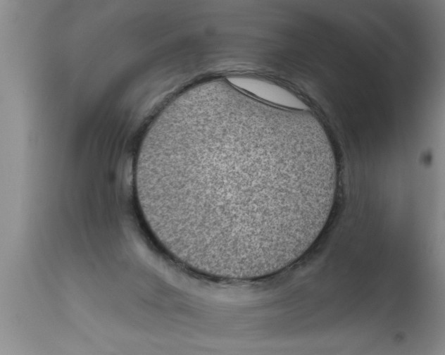 X0000111160024200907211238