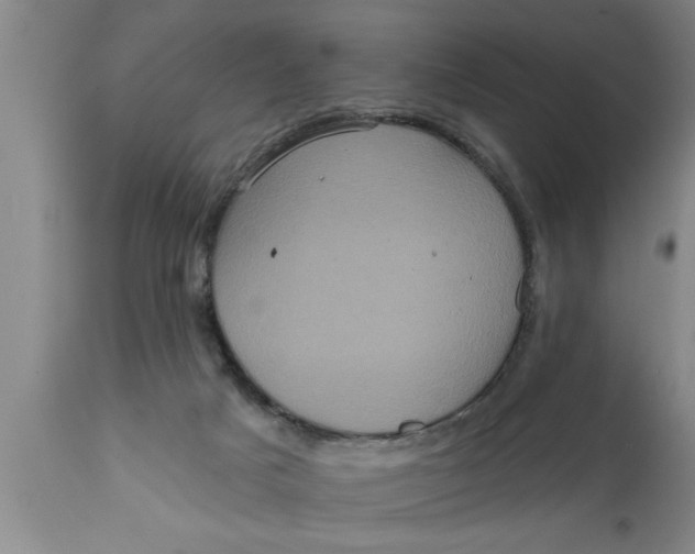 X0000111160025200907211238