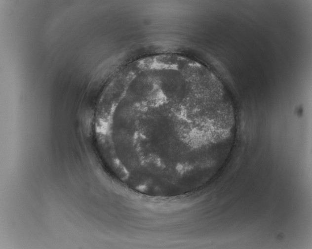 X0000111160026200907211238