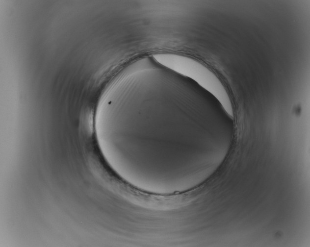 X0000111160027200907211238