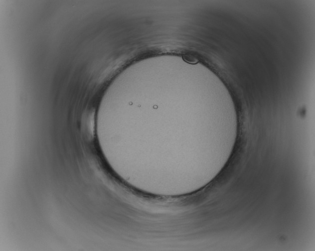 X0000111160028200907211237