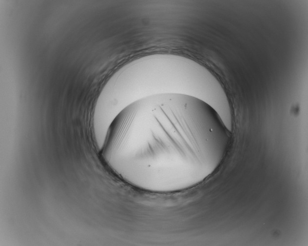 X0000111160029200907211237