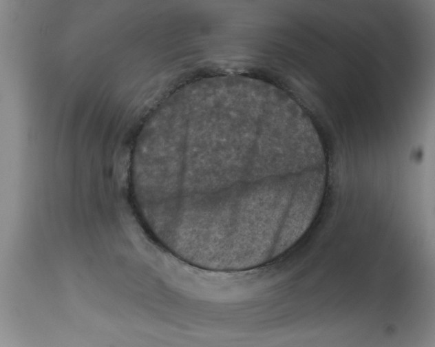 X0000111160030200907211237