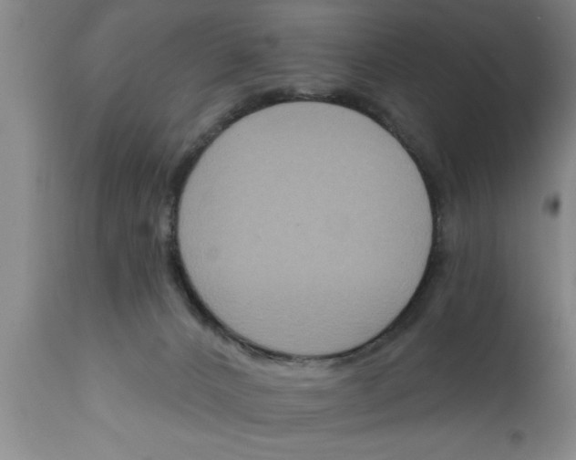 X0000111160032200907211237