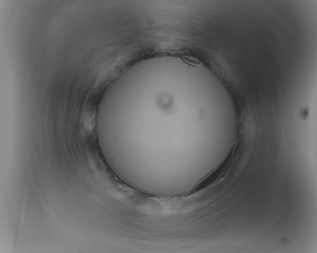 X0000111160033200907211237