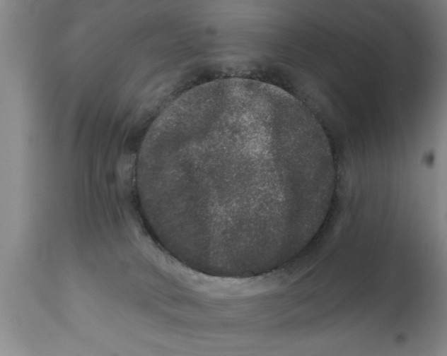 X0000111160034200907211237