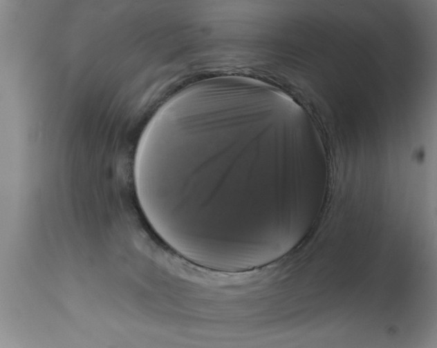 X0000111160035200907211237