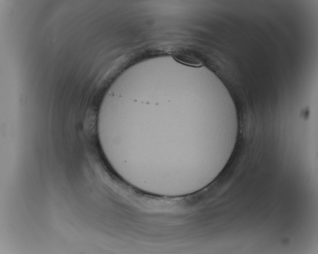 X0000111160036200907211237