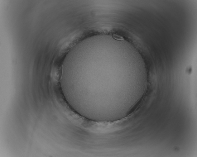 X0000111160037200907211237