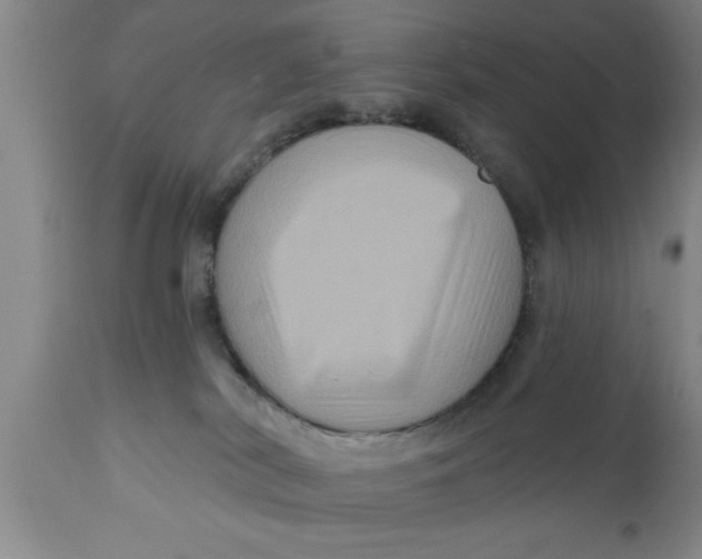 X0000111160038200907211237