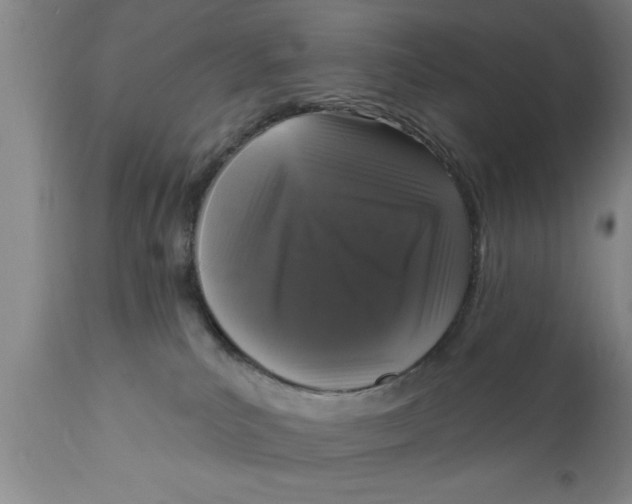 X0000111160039200907211237