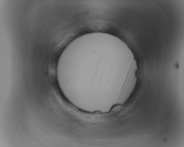 X0000111160040200907211237