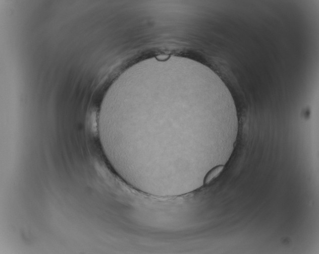 X0000111160042200907211237