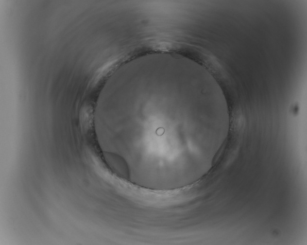 X0000111160043200907211237