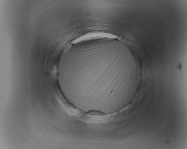 X0000111160045200907211237