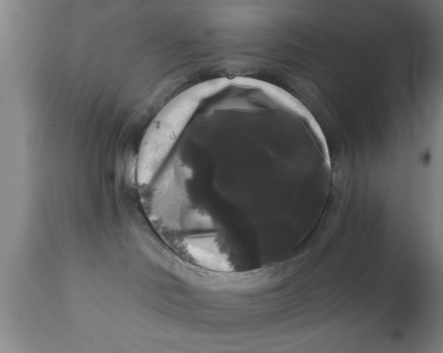 X0000111160046200907211237