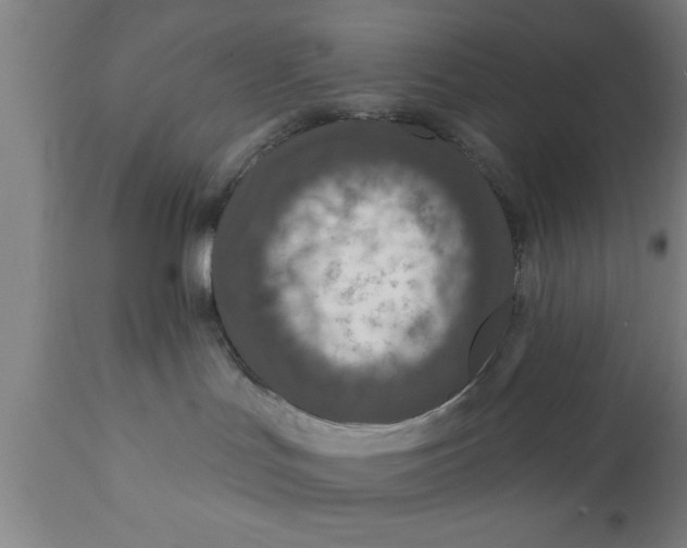 X0000111160047200907211237