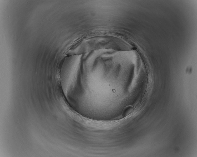 X0000111160048200907211237