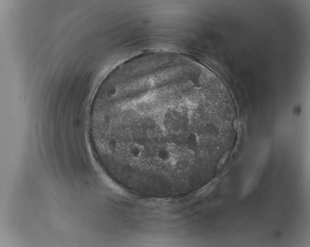 X0000111160049200907211236