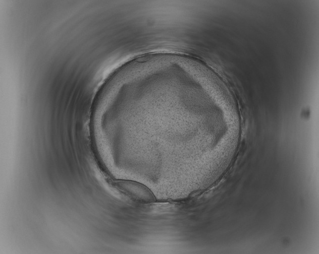 X0000111160050200907211236