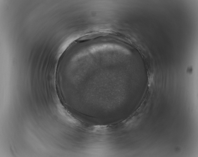 X0000111160052200907211236