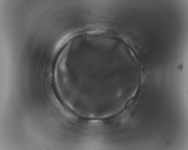 X0000111160053200907211236