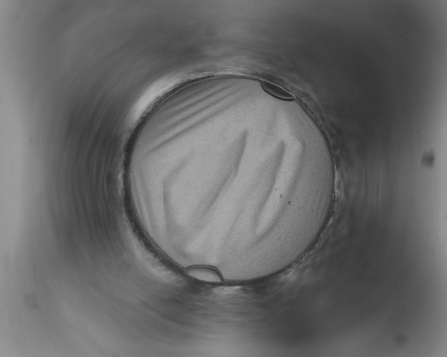 X0000111160054200907211236