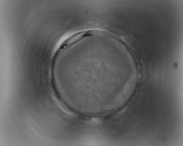 X0000111160056200907211236