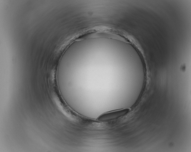 X0000111160057200907211236